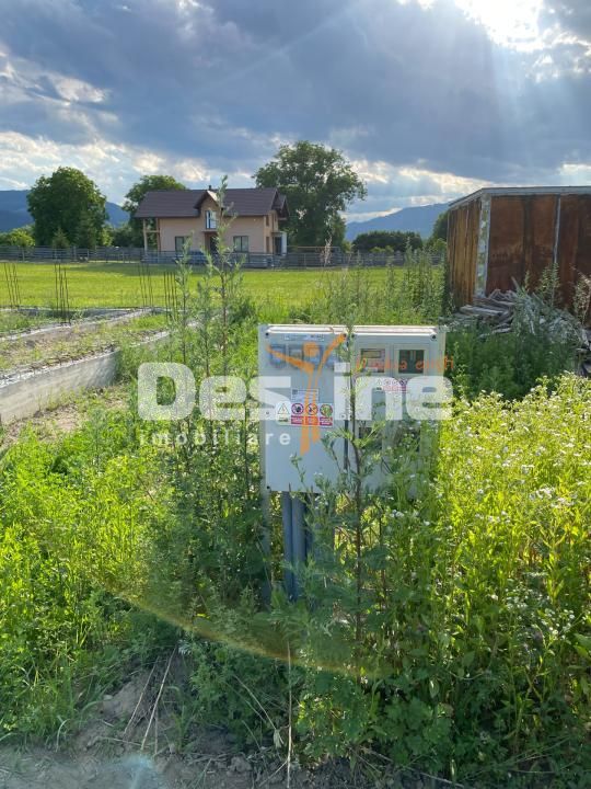 Teren de vanzare Alexandru cel Bun 20.000 Euro 735mp — fotografia 5