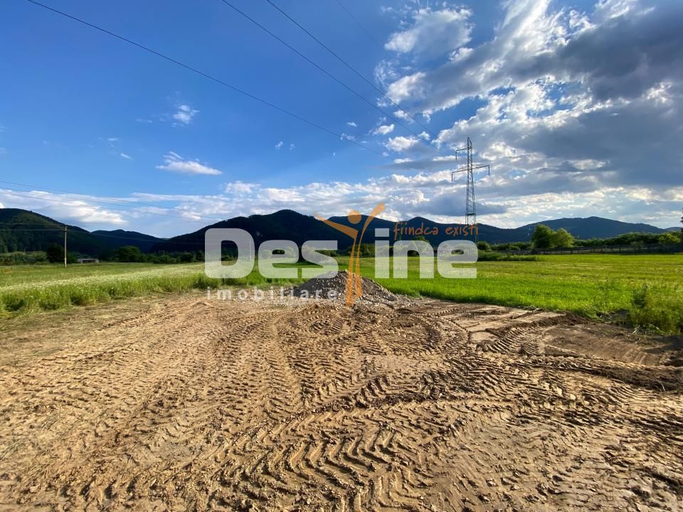 Teren de vanzare Alexandru cel Bun 20.000 Euro 735mp — fotografia 8