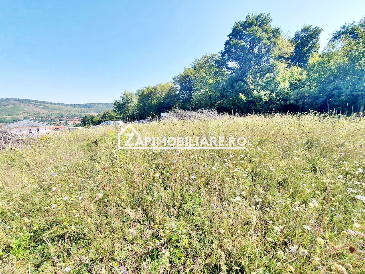 Teren  intravilan 702 mp. Corunca — fotografia 8