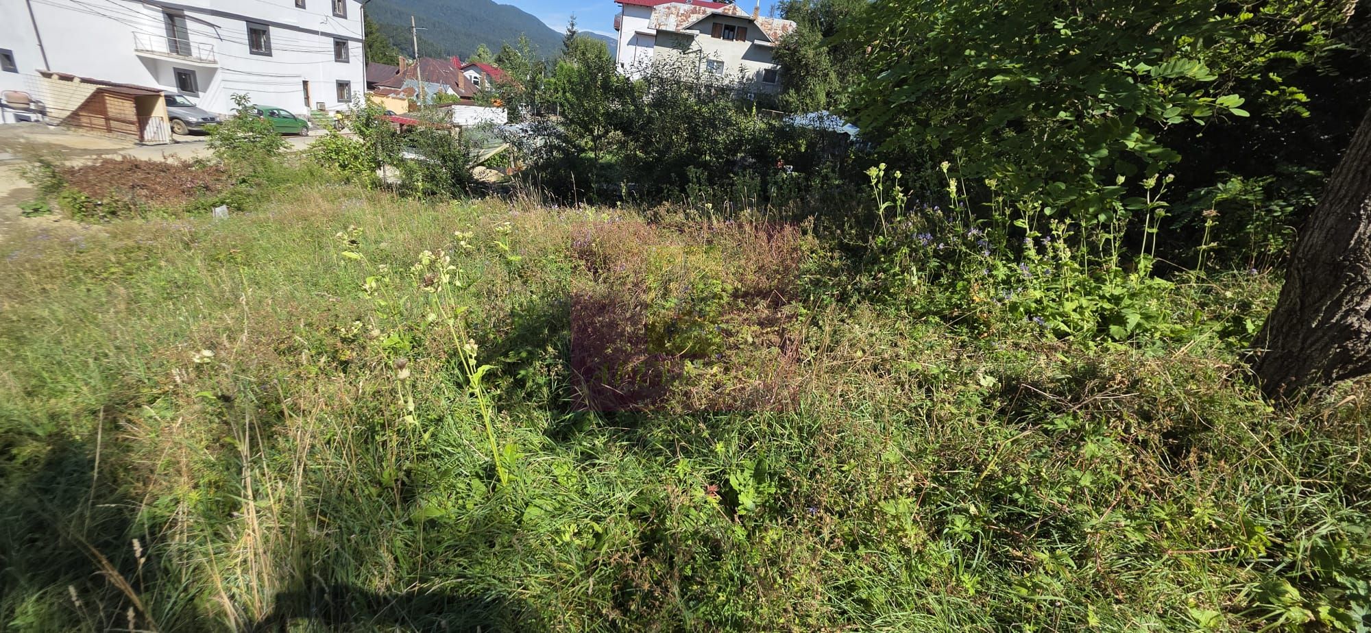 Teren intravilan 288 mp de vanzare in Busteni — fotografia 3