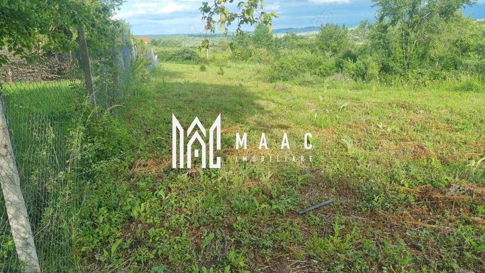 Teren intravilan de vânzare Daia Nouă | 1000 mp | Ideal pentru construcție — fotografia 4
