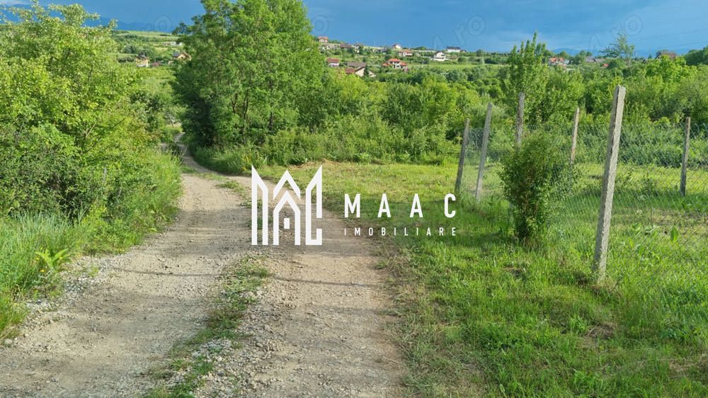 Teren intravilan de vânzare Daia Nouă | 1000 mp | Ideal pentru construcție — fotografia 5