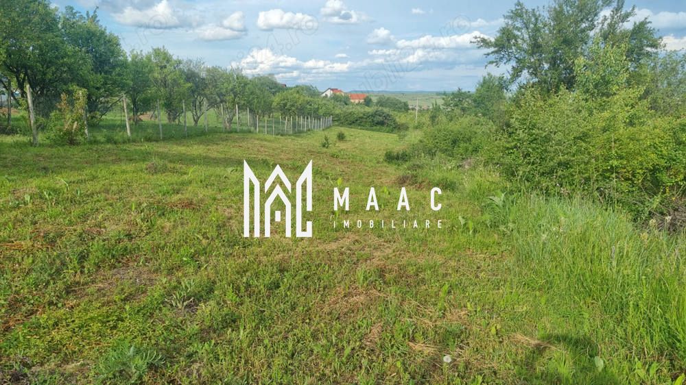 Teren intravilan de vânzare Daia Nouă | 1000 mp | Ideal pentru construcție — fotografia 6