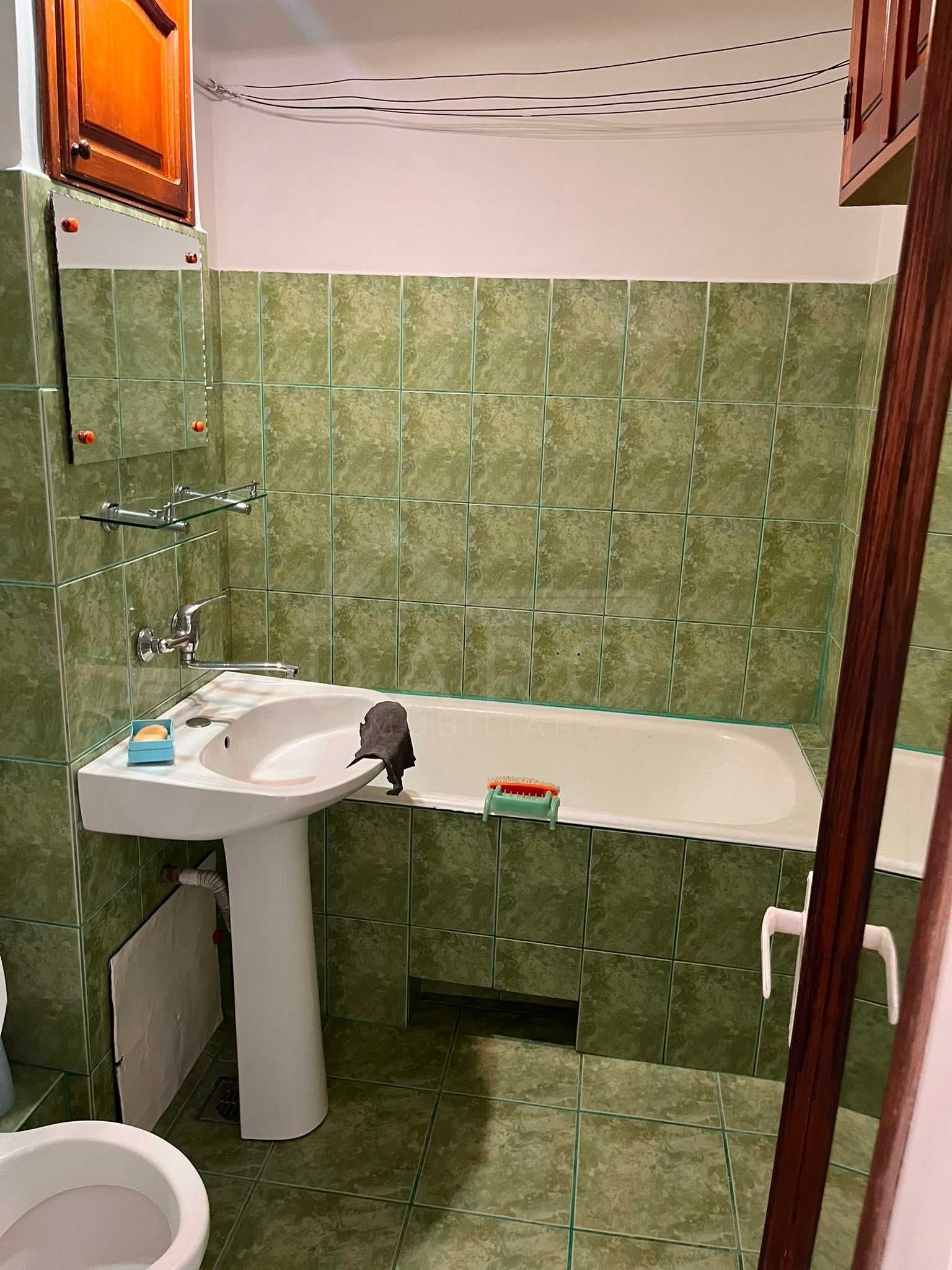 De închiriat: Apartament 3 camere in Cristesti — fotografia 3