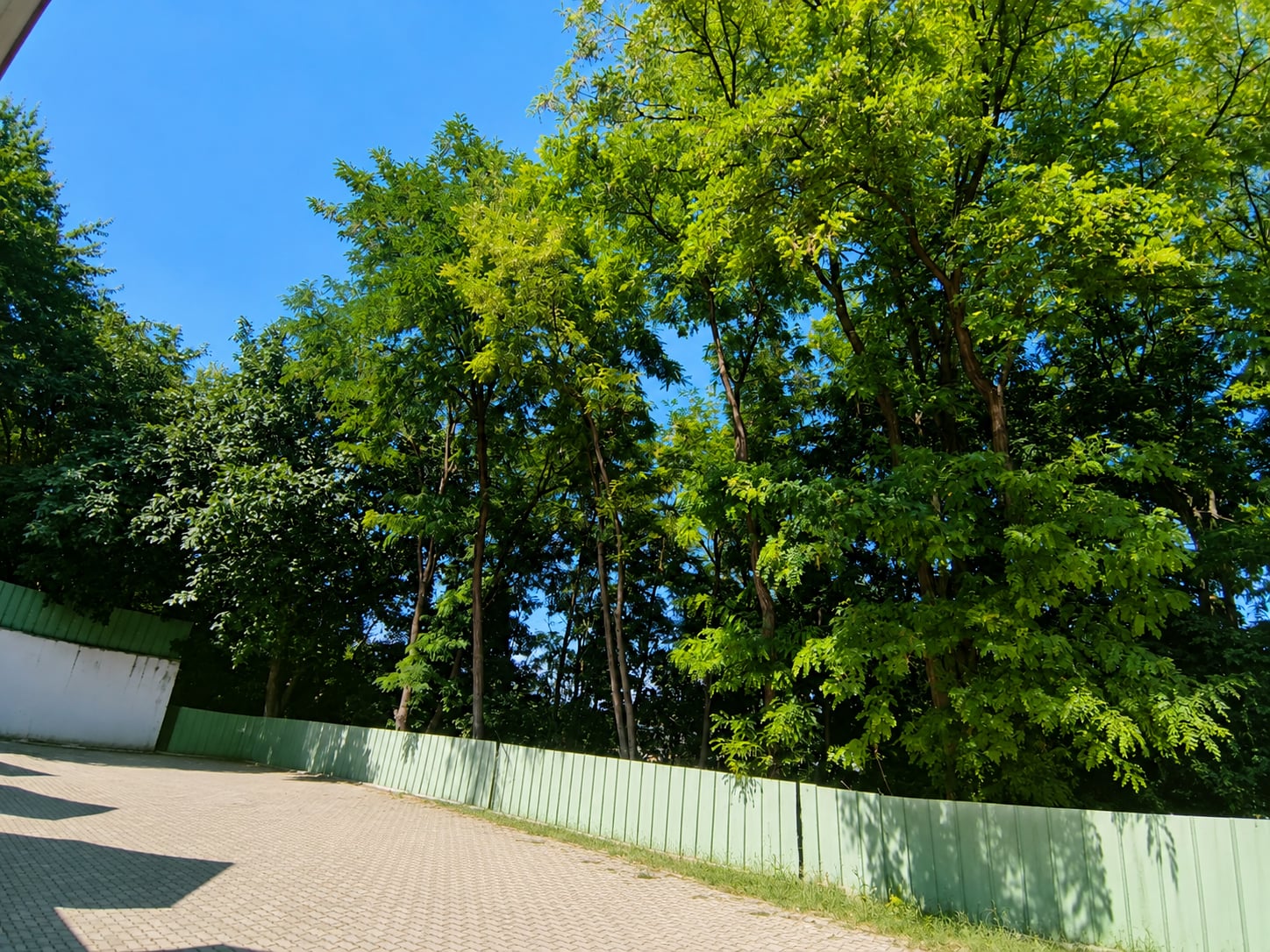 Garsonieră de vânzare, 30 mp, Zona Piața Centrală, curte privată/loc de parcare — fotografia 3