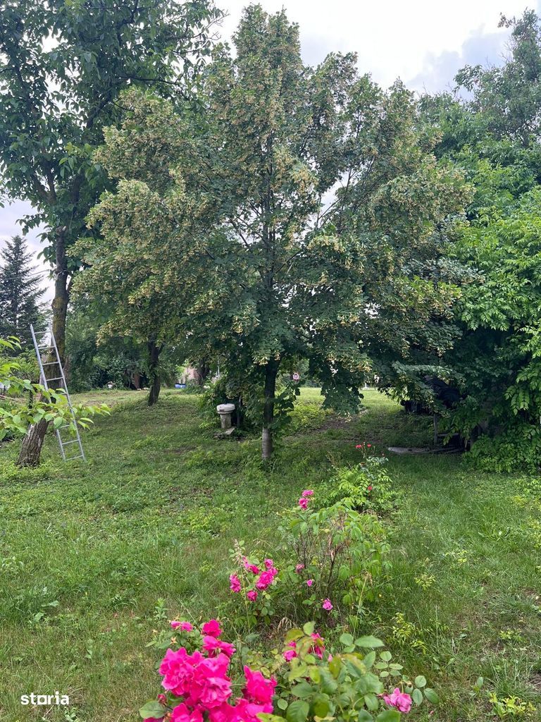 ofer spre vanzare teren pe malul lacului Snagov si vila S+P+E+M — fotografia 5
