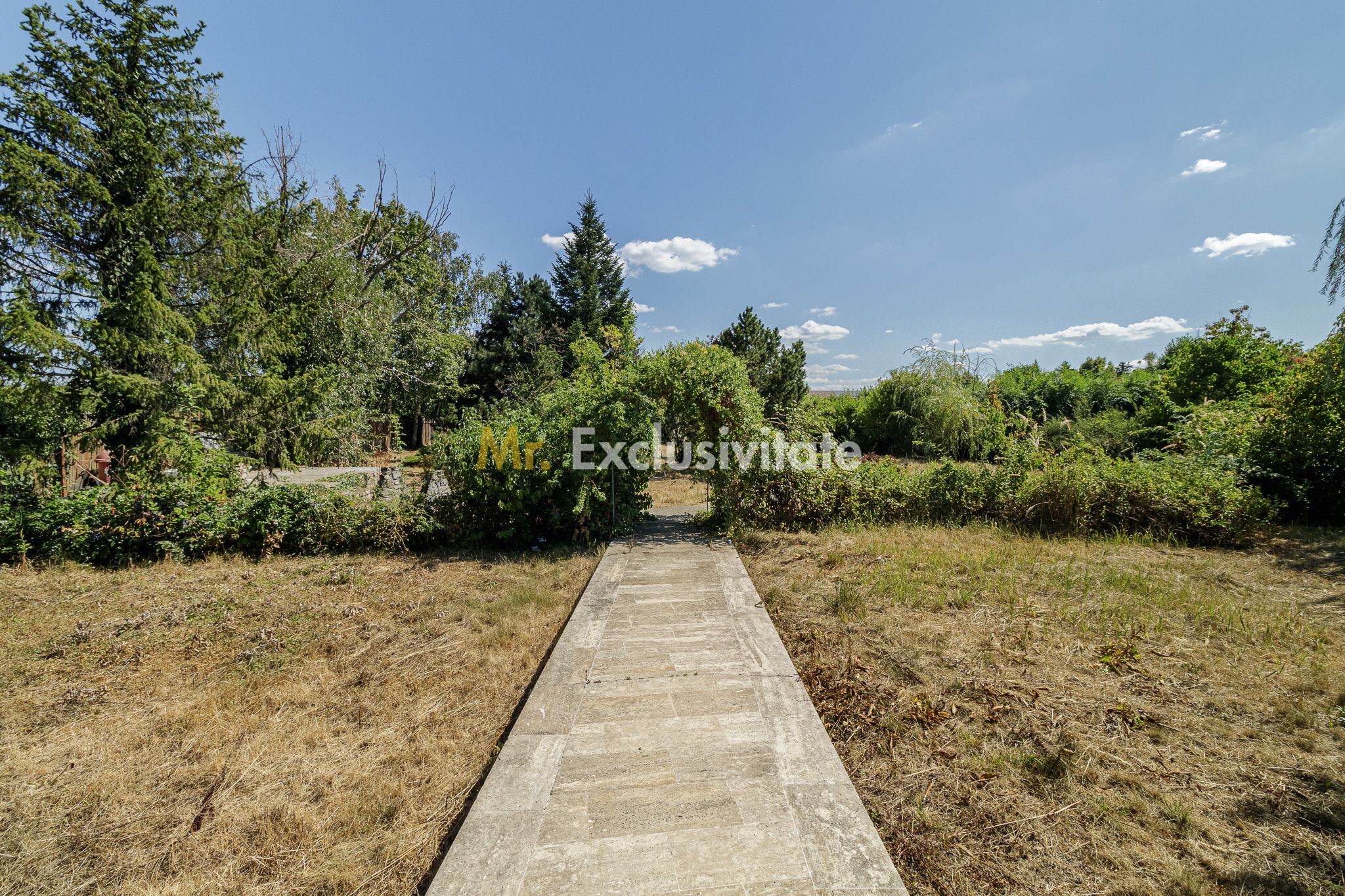 Domeniu privat 5.000 mp, cu reședință de 625 mp și piscină, Corbeanca — fotografia 14