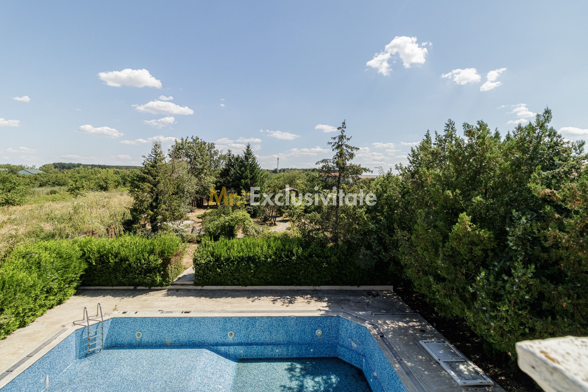 Domeniu privat 5.000 mp, cu reședință de 625 mp și piscină, Corbeanca — fotografia 35