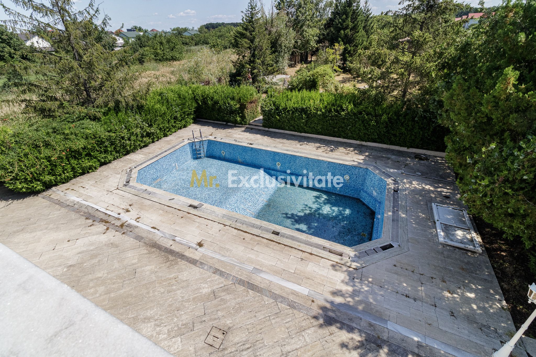 Domeniu privat 5.000 mp, cu reședință de 625 mp și piscină, Corbeanca — fotografia 38