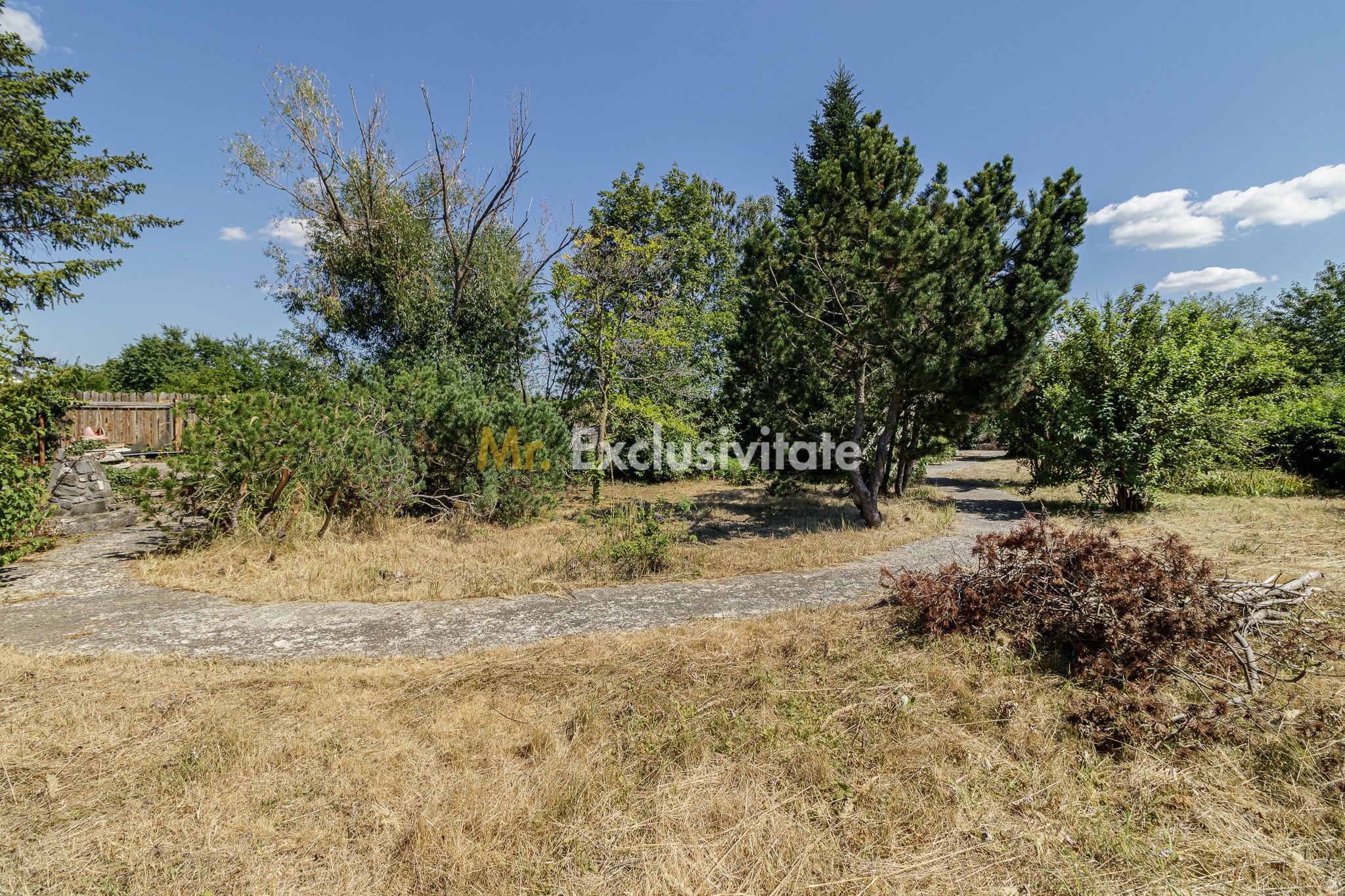 Domeniu privat 5.000 mp, cu reședință de 625 mp și piscină, Corbeanca — fotografia 41