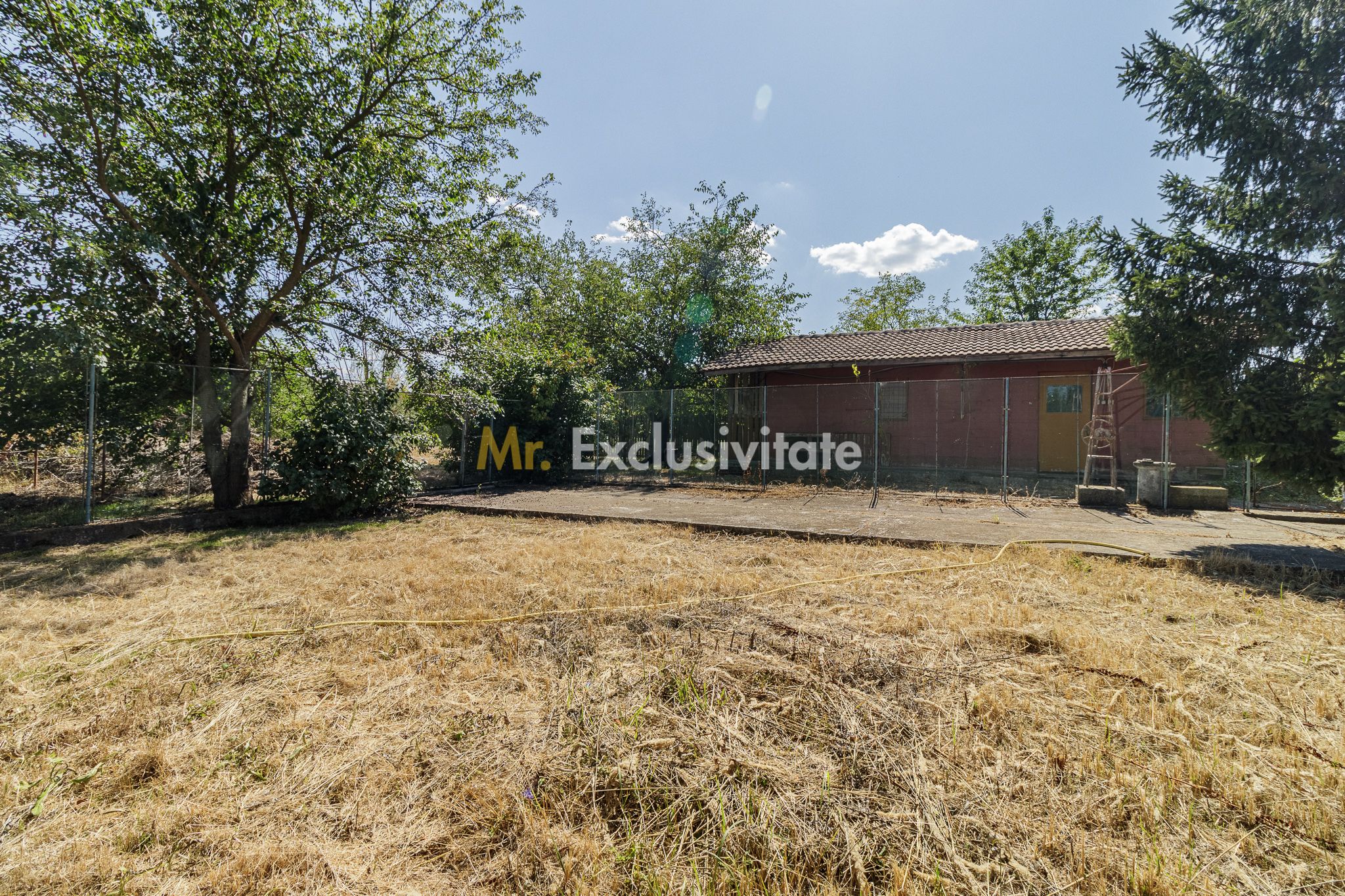 Domeniu privat 5.000 mp, cu reședință de 625 mp și piscină, Corbeanca — fotografia 42