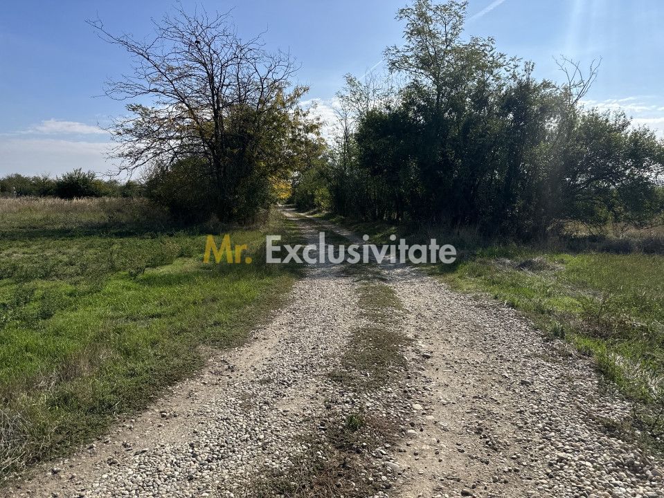 Teren Intravilan com. Ratesti — fotografia 3