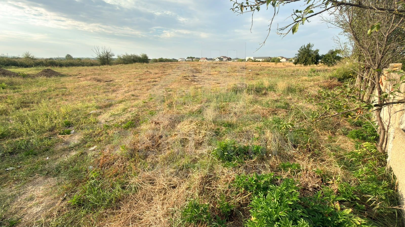 Teren de vanzare in Popoveni loturi de 550mp deschidere mare — fotografia 7