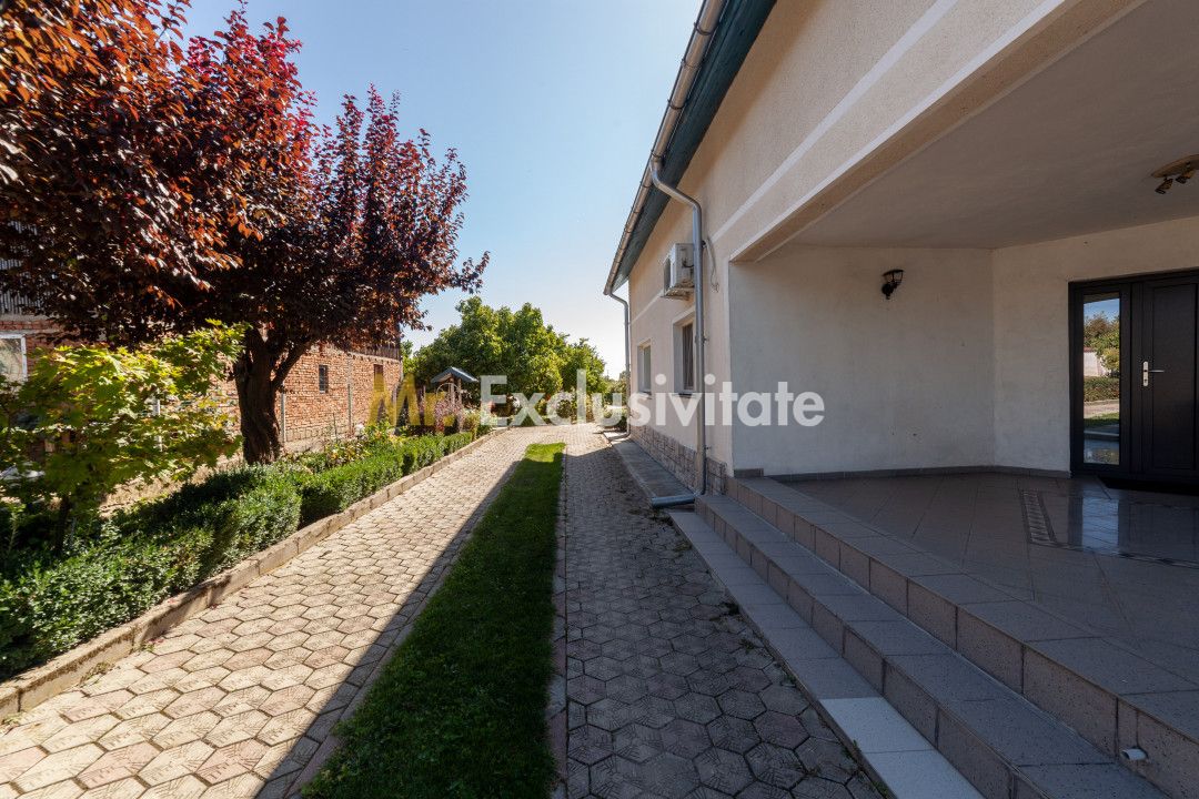 Casa visurilor cu 4000 mp livada roditoare si gradina Darmanesti-Arges — fotografia 5