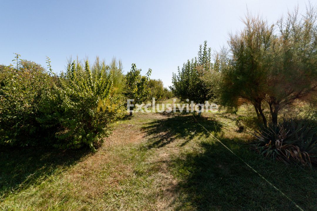 Casa visurilor cu 4000 mp livada roditoare si gradina Darmanesti-Arges — fotografia 6