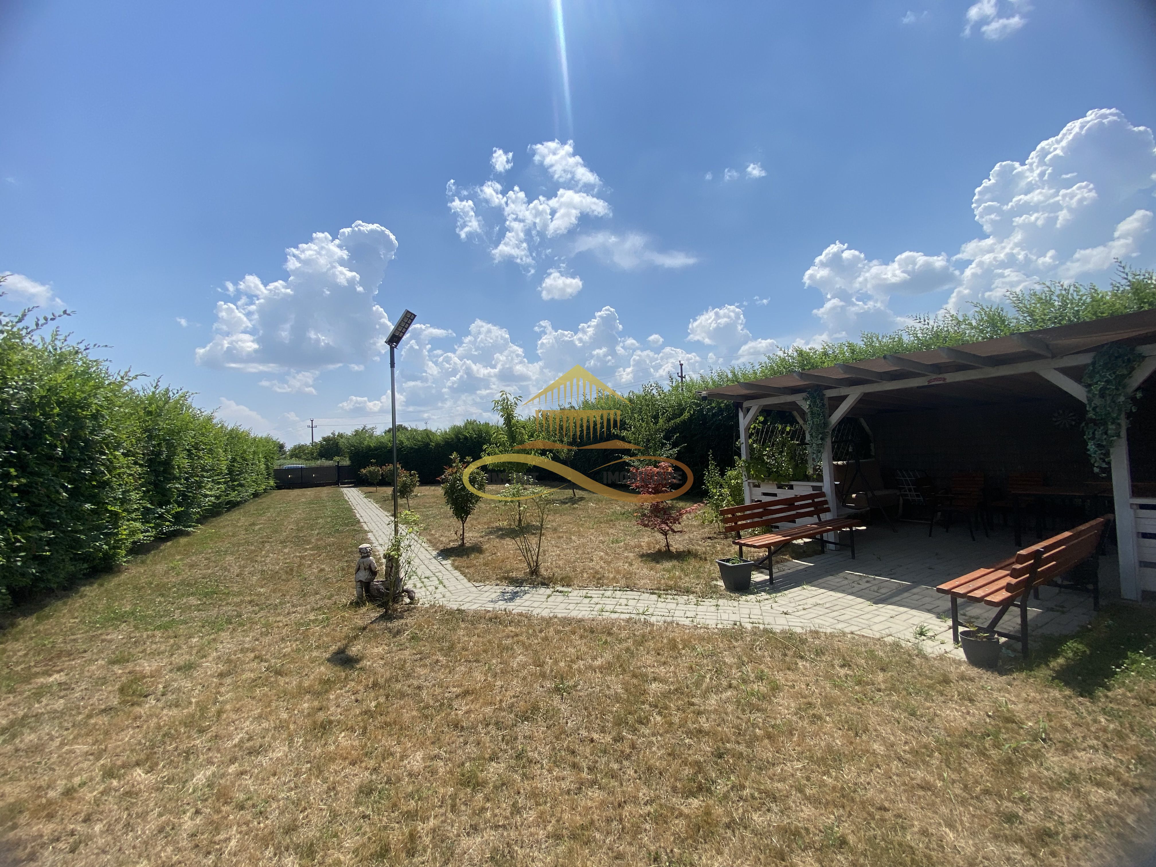 Teren la vânzare in Serbanești — fotografia 3