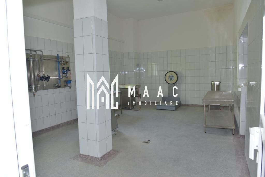 Fabrica de lactate utilata Sibiu — fotografia 9