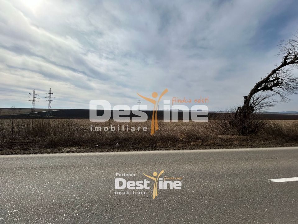 Teren de vanzare Caciulesti 11.000Euro 1300mp — fotografia 4