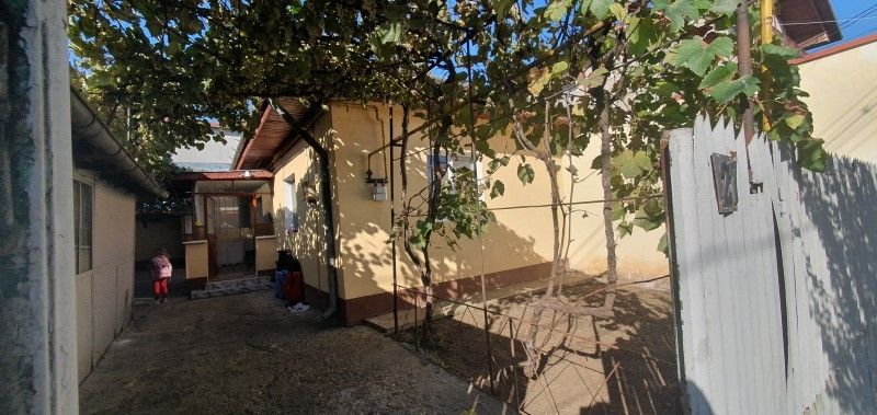 Andronache, str. Turistilor nr. 27 — fotografia 3