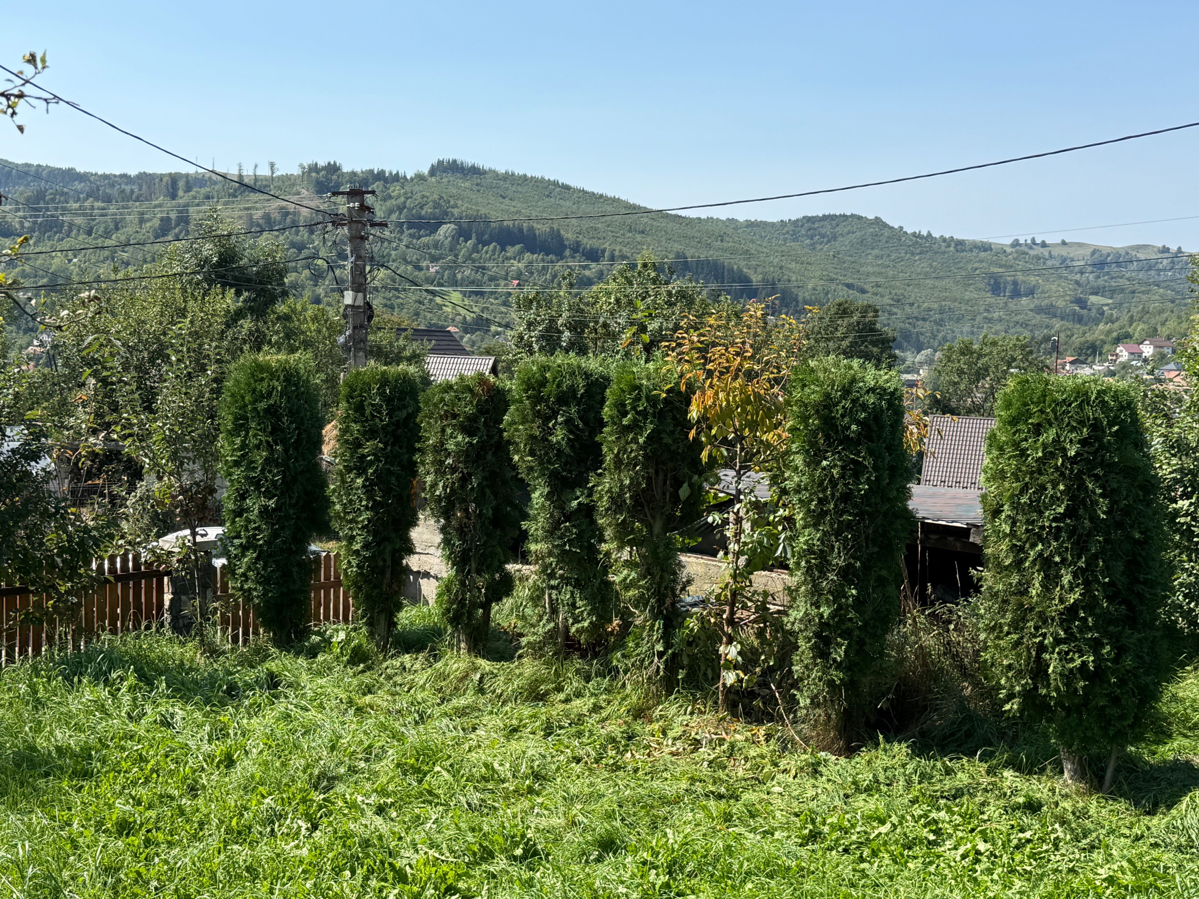 Casă + anexă 280 mp și teren cu dublă deschidere la strada 1500 mp — fotografia 6