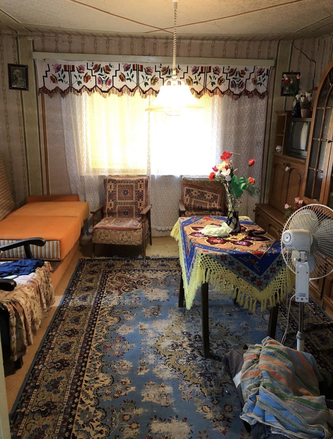 Casa cu teren 27 arii Pir — fotografia 5