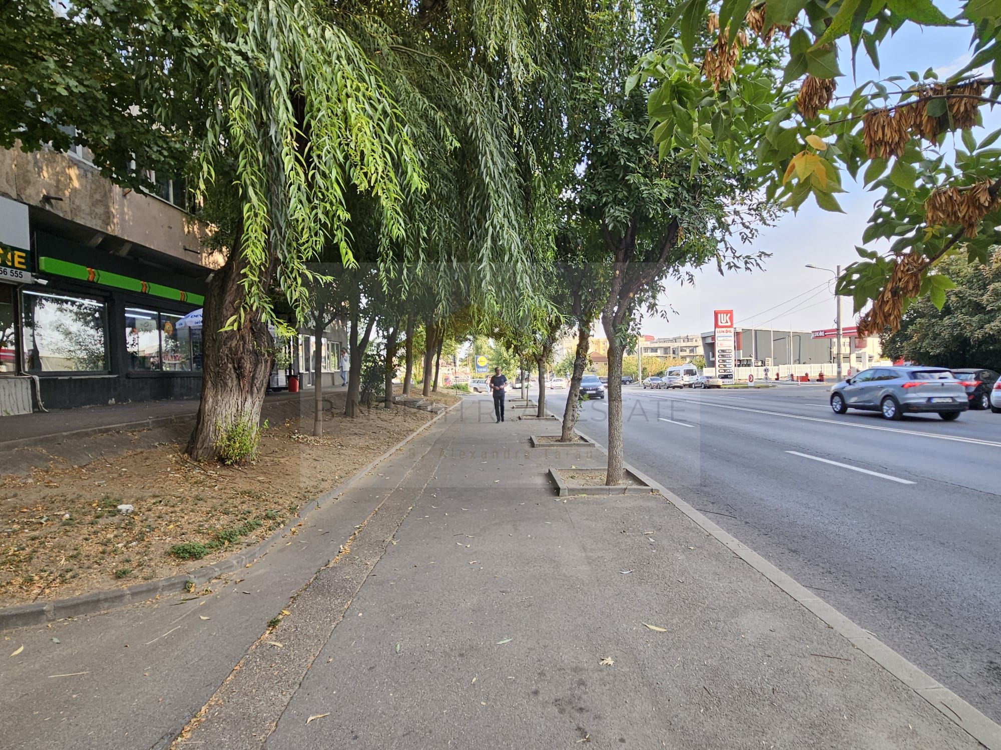 Spațiu comercial 140 mp | Craiovița Nouă – George Enescu — fotografia 5