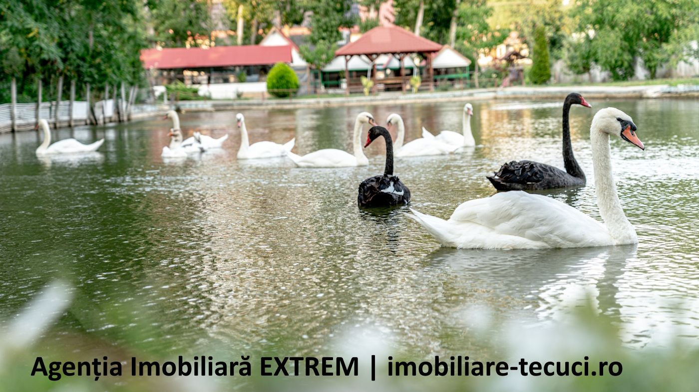 Pensiune, restaurant, bar, iaz, păstrăvărie, în Gidigeni, jud. Galaţi — fotografia 12