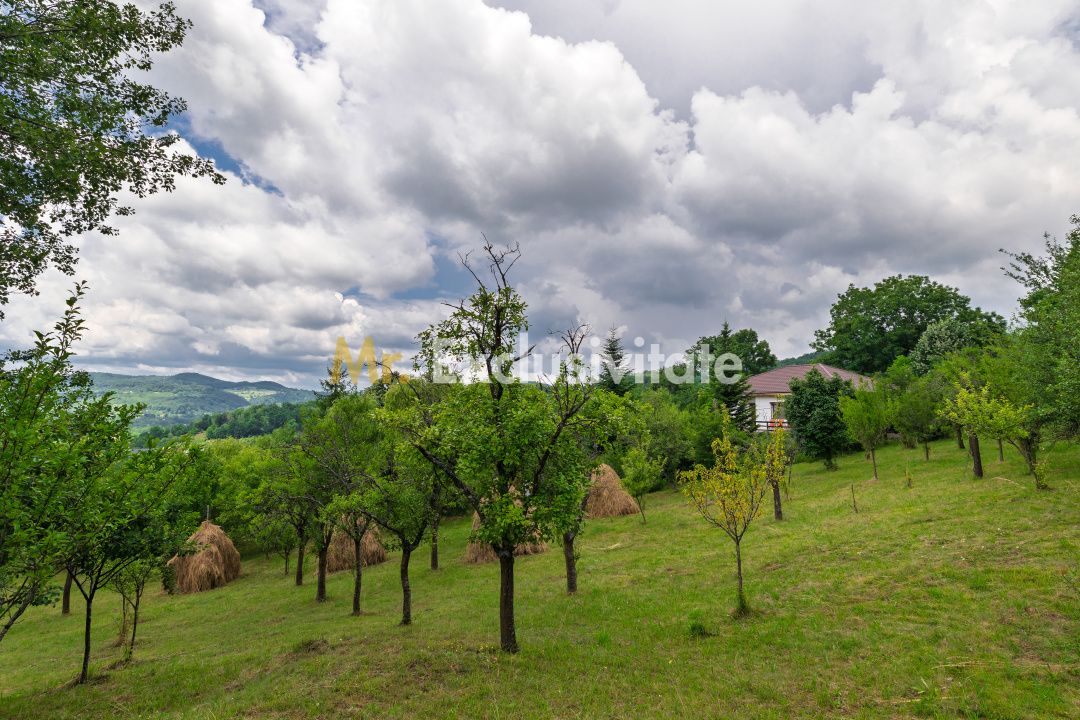 Casa moderna si casa bunicii + 6300 mp teren,Oaza autentica in Corbi Arges- — fotografia 17