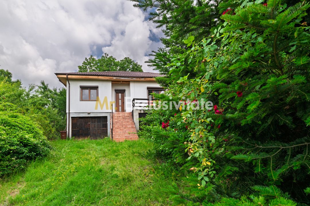 Casa moderna si casa bunicii + 6300 mp teren,Oaza autentica in Corbi Arges- — fotografia 3