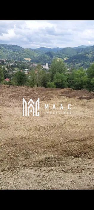 Doua loturi de 1500 mp in BISTRA I Alba I — fotografia 3