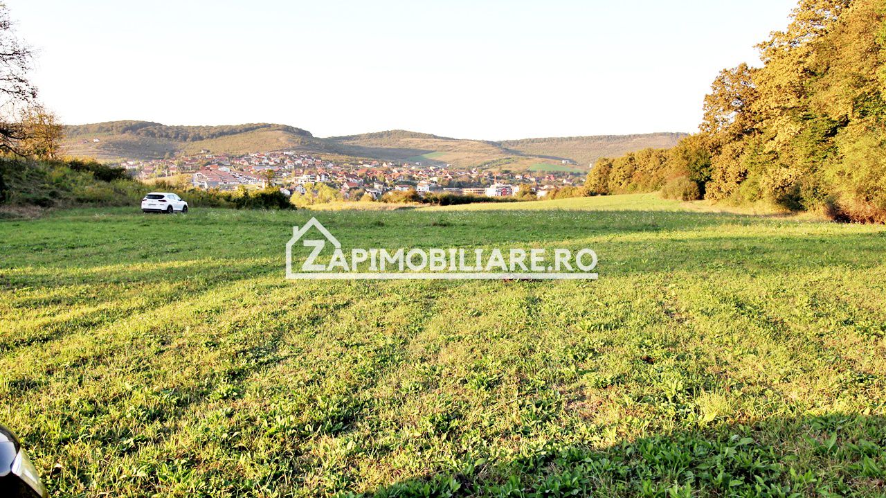 De vanzare 2 terenuri de 29.500 mp si 1.400 mp.29 euro mp