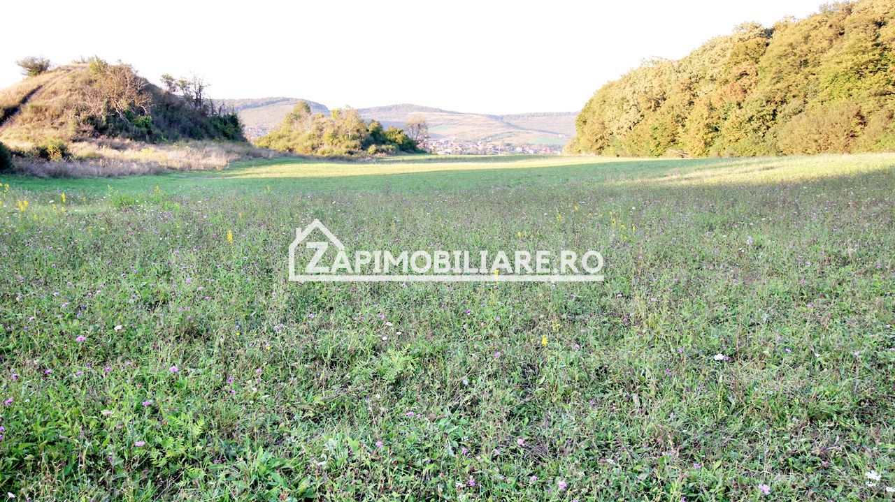 De vanzare 2 terenuri de 29.500 mp si 1.400 mp.29 euro mp — fotografia 10