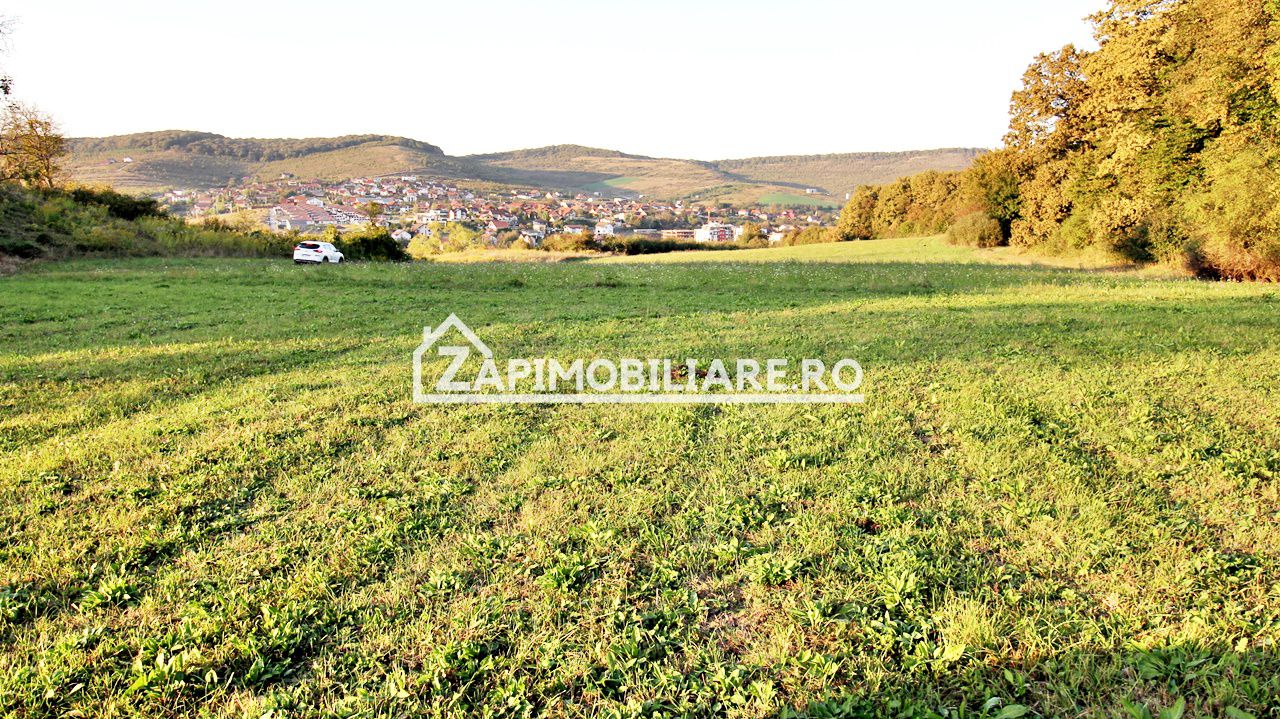 De vanzare 2 terenuri de 29.500 mp si 1.400 mp.29 euro mp — fotografia 11