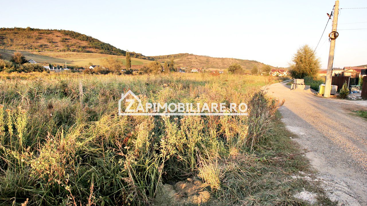 De vanzare 2 terenuri de 29.500 mp si 1.400 mp.29 euro mp — fotografia 12