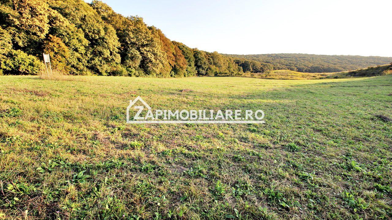 De vanzare 2 terenuri de 29.500 mp si 1.400 mp.29 euro mp — fotografia 2