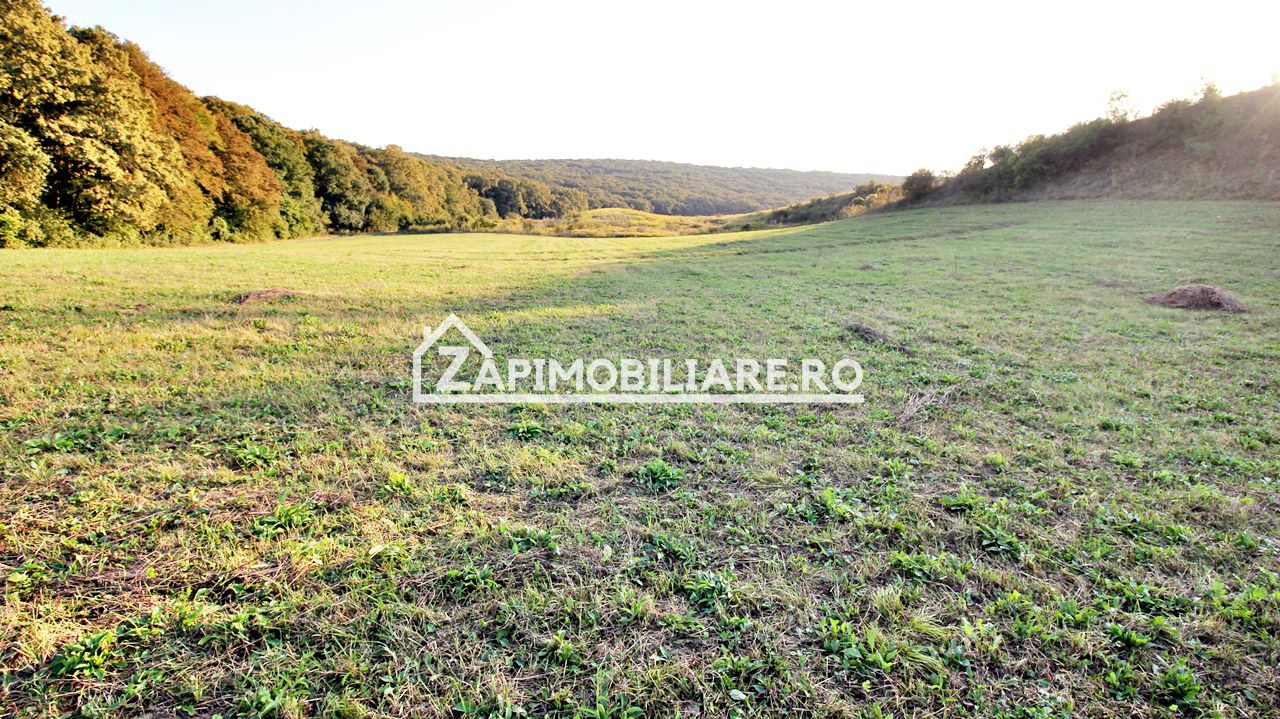 De vanzare 2 terenuri de 29.500 mp si 1.400 mp.29 euro mp — fotografia 3