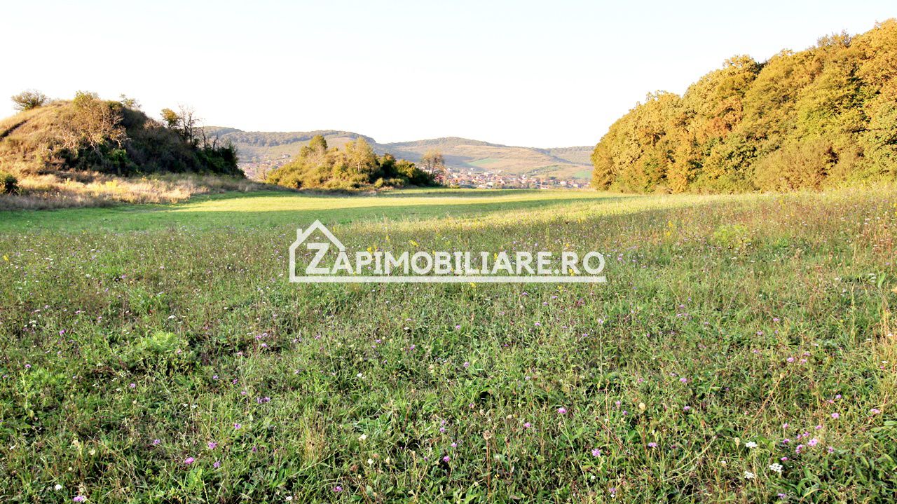 De vanzare 2 terenuri de 29.500 mp si 1.400 mp.29 euro mp — fotografia 4