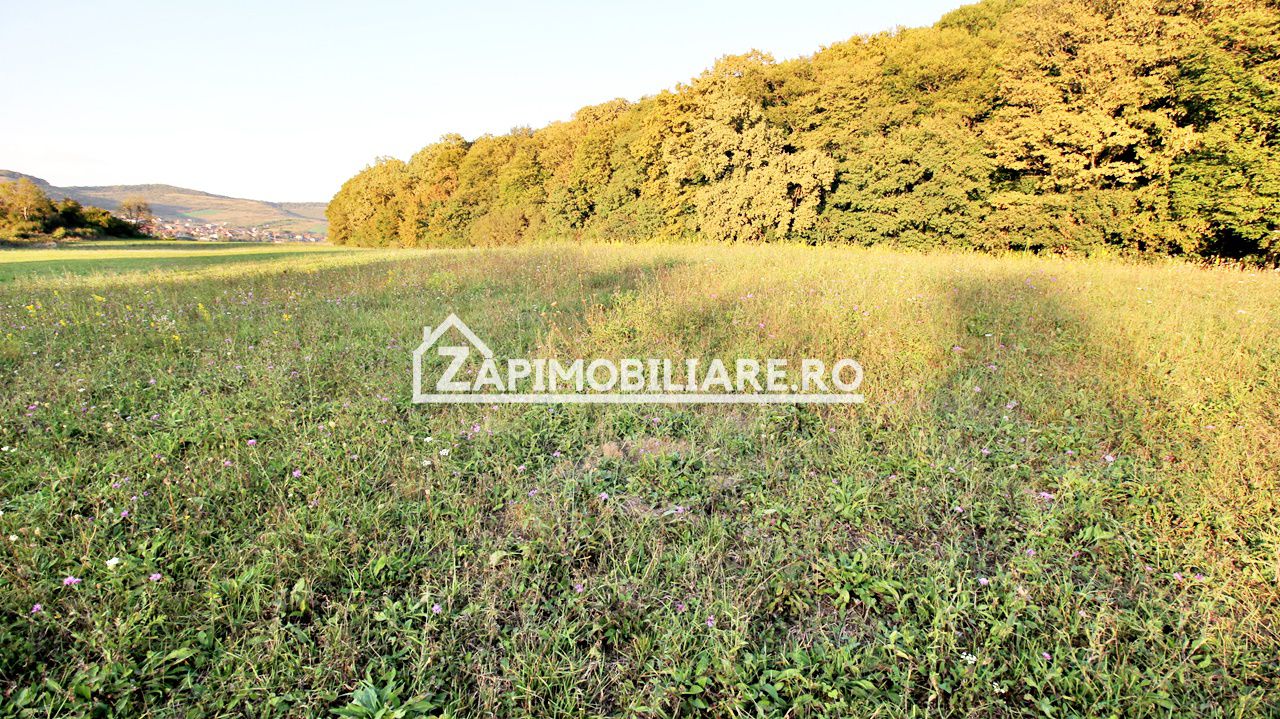 De vanzare 2 terenuri de 29.500 mp si 1.400 mp.29 euro mp — fotografia 5