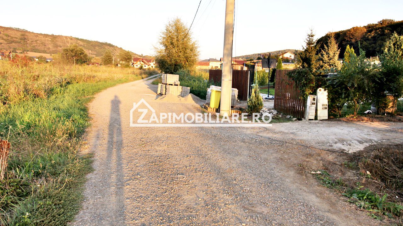 De vanzare 2 terenuri de 29.500 mp si 1.400 mp.29 euro mp — fotografia 6