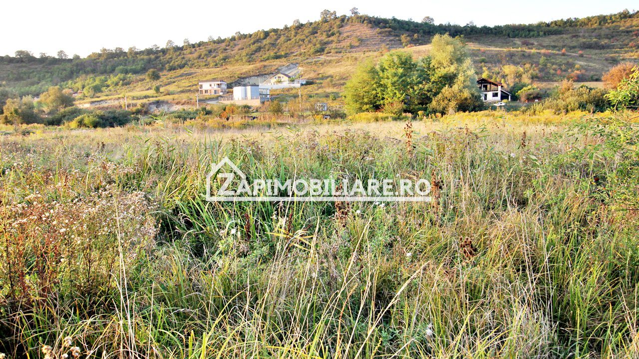De vanzare 2 terenuri de 29.500 mp si 1.400 mp.29 euro mp — fotografia 7