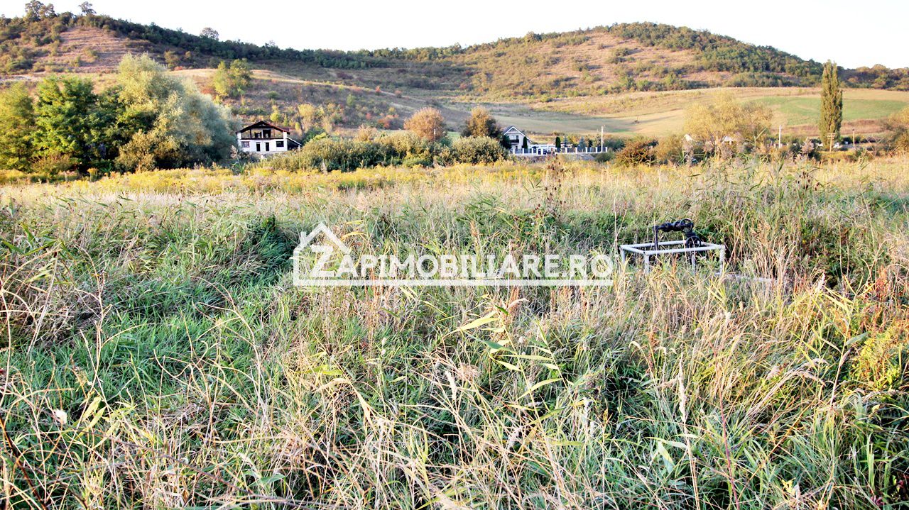 De vanzare 2 terenuri de 29.500 mp si 1.400 mp.29 euro mp — fotografia 8