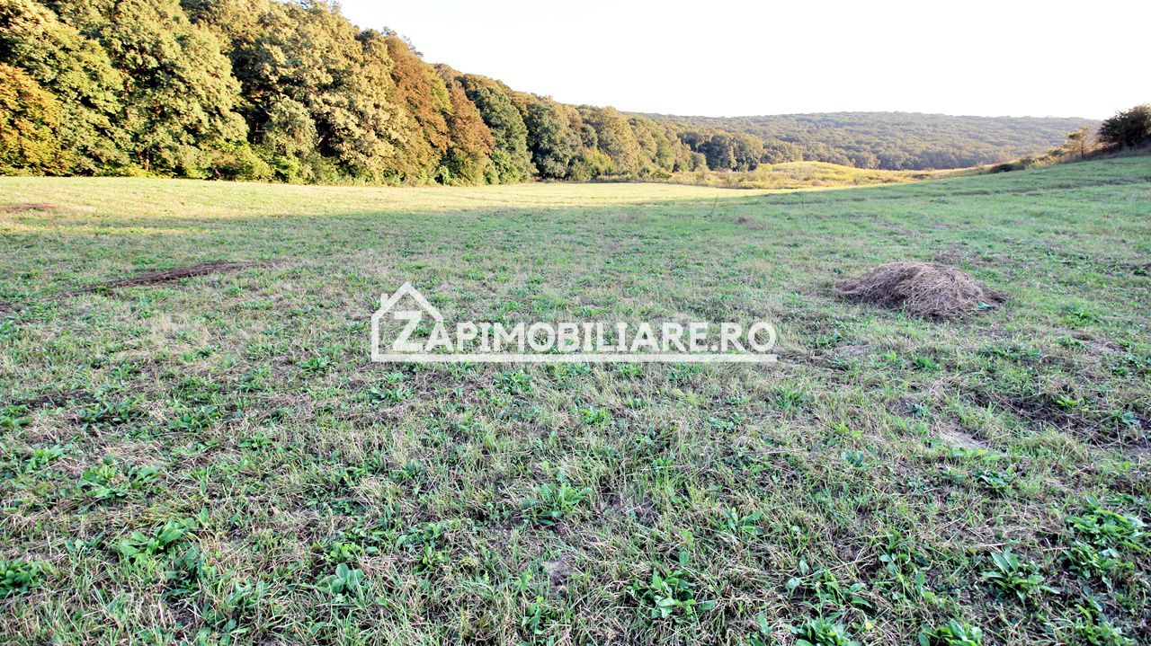 De vanzare 2 terenuri de 29.500 mp si 1.400 mp.29 euro mp — fotografia 9
