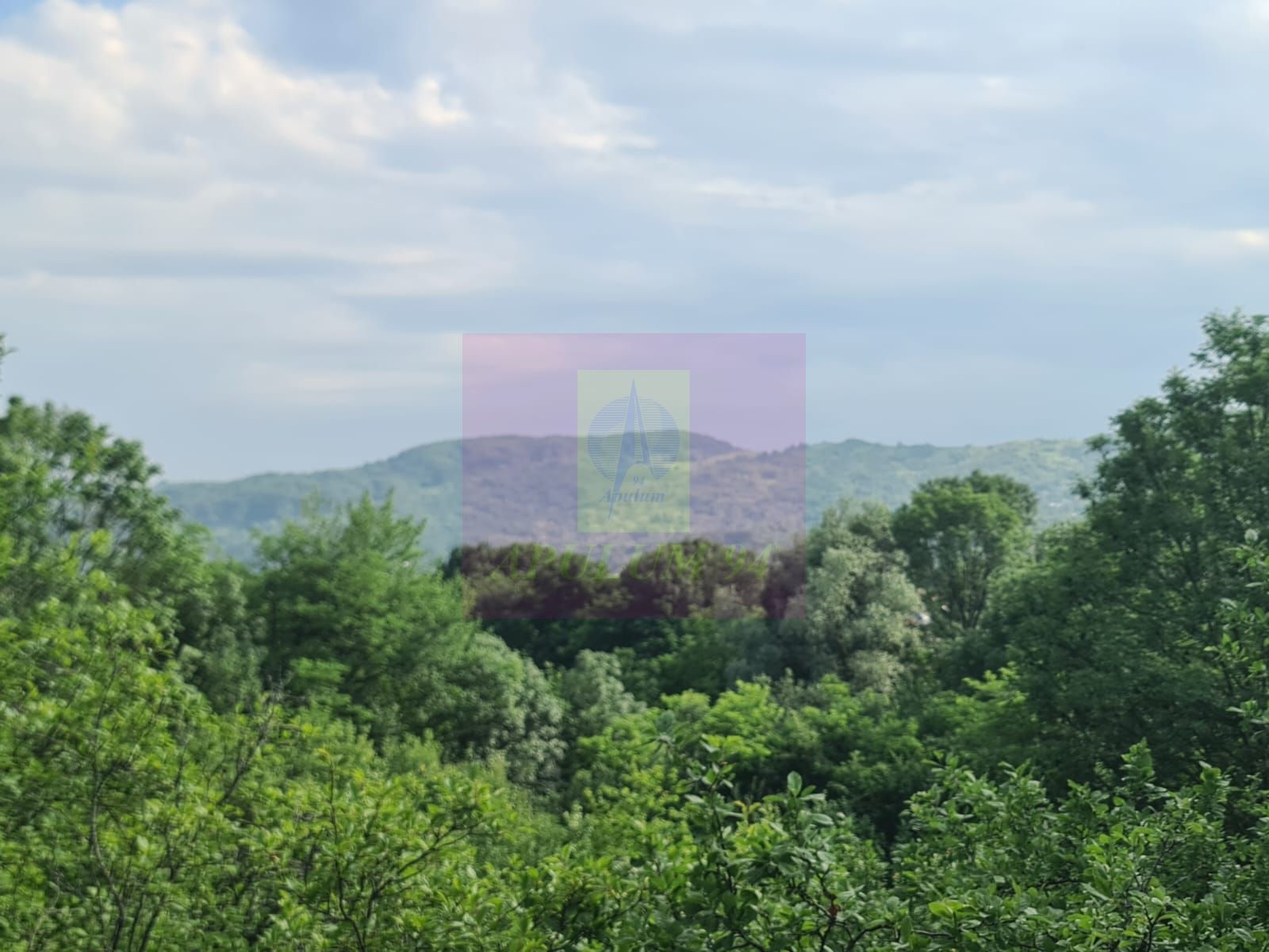 Vila de vanzare cu 6 camere in Cornu (teren 6.600 mp) — fotografia 3