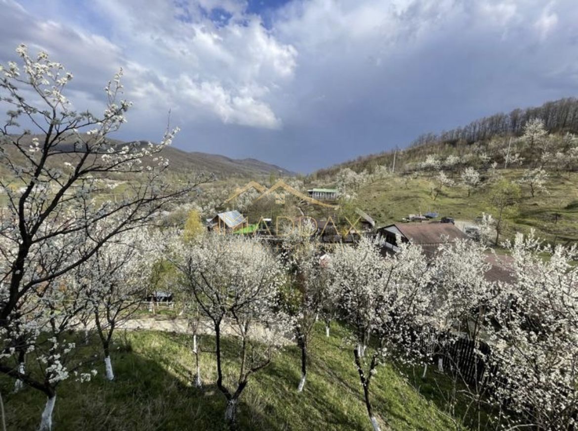 Casa de vacanta**Panorama spectaculoasa//Provita de Jos_Prahova — fotografia 5