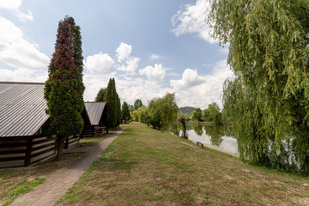 Se vinde Balta Flamina - Sat Bunești, Com. Mălureni — fotografia 7