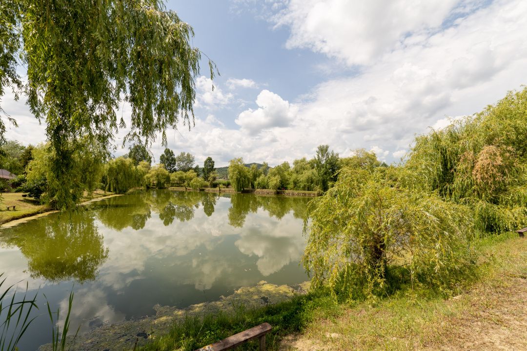 Se vinde Balta Flamina - Sat Bunești, Com. Mălureni — fotografia 9