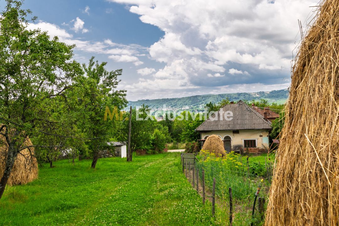 Proprietate de poveste în Corbi, Argeș - Doua case si 6300 mp teren intravilan — fotografia 2