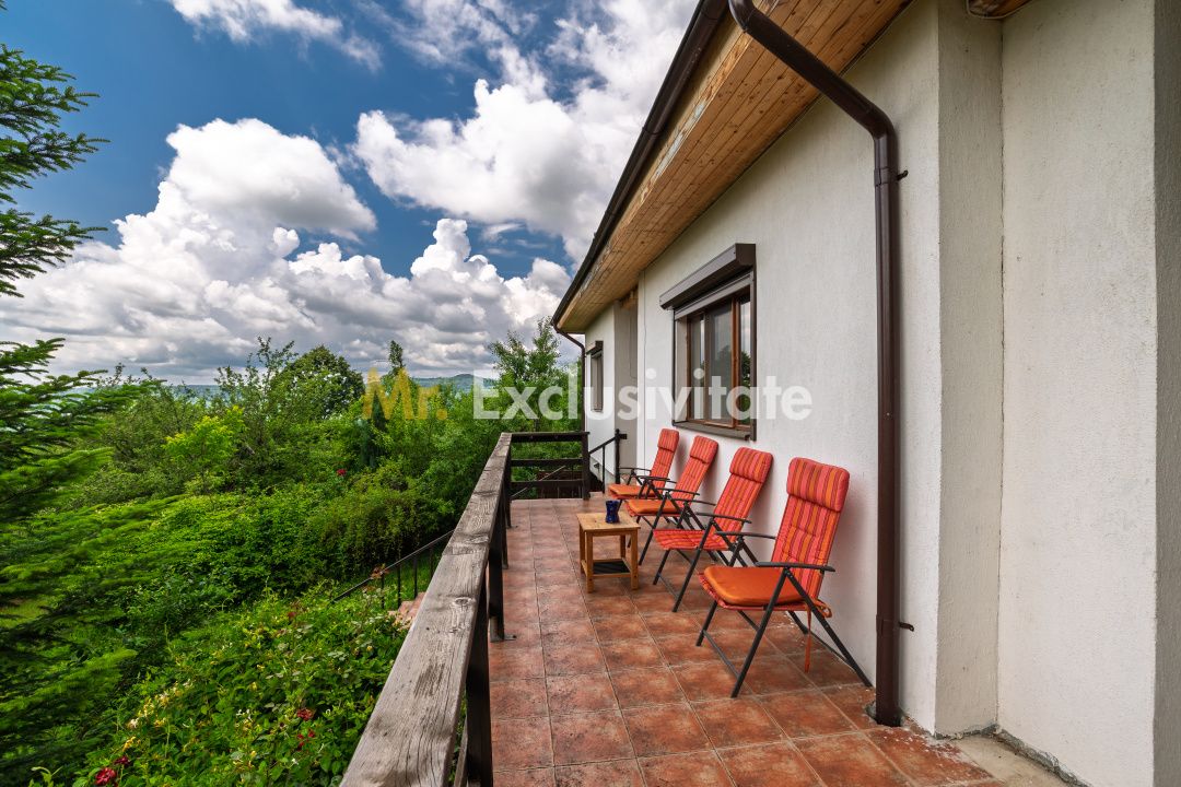 Proprietate de poveste în Corbi, Argeș - Doua case si 6300 mp teren intravilan — fotografia 3