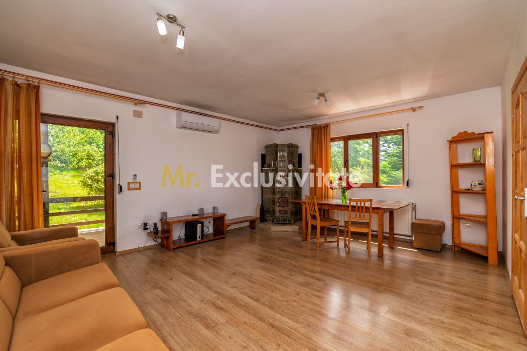 Proprietate de poveste în Corbi, Argeș - Doua case si 6300 mp teren intravilan — fotografia 4