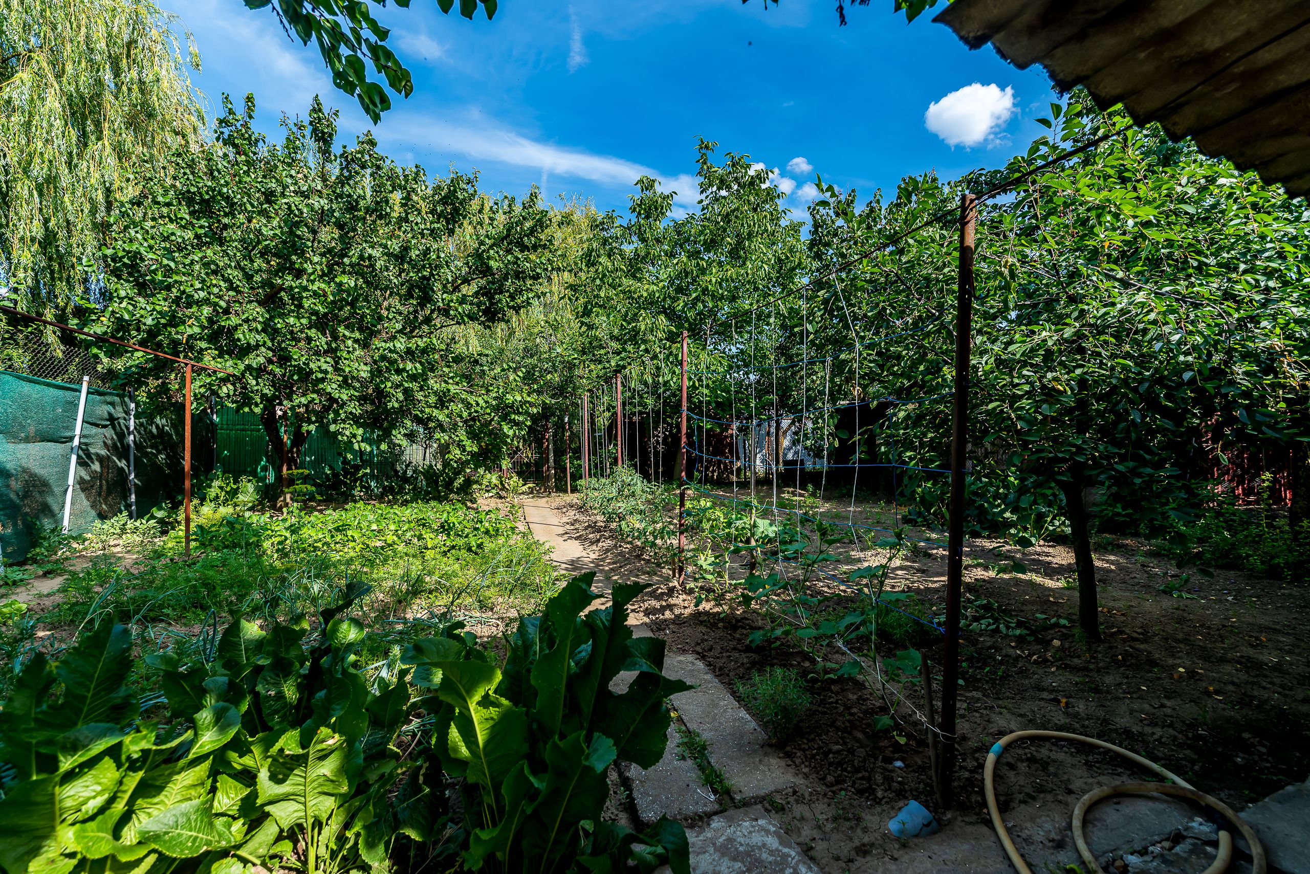 Casa 3 camere, bucatarie si baie, in zona centrala din Chisineu-Cris — fotografia 8